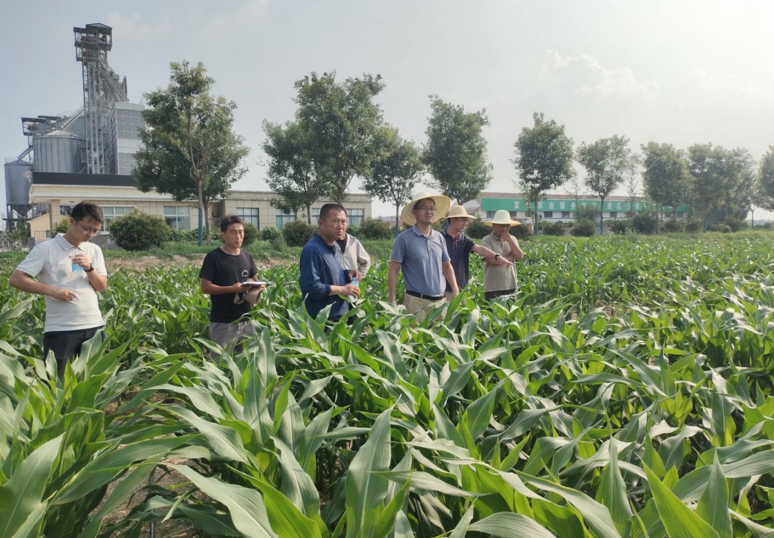 1752474391149469.jpg 1752474391149469.jpg