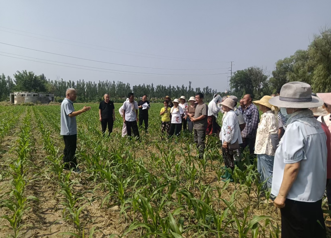 1752636946747241.jpg 1752636946747241.jpg