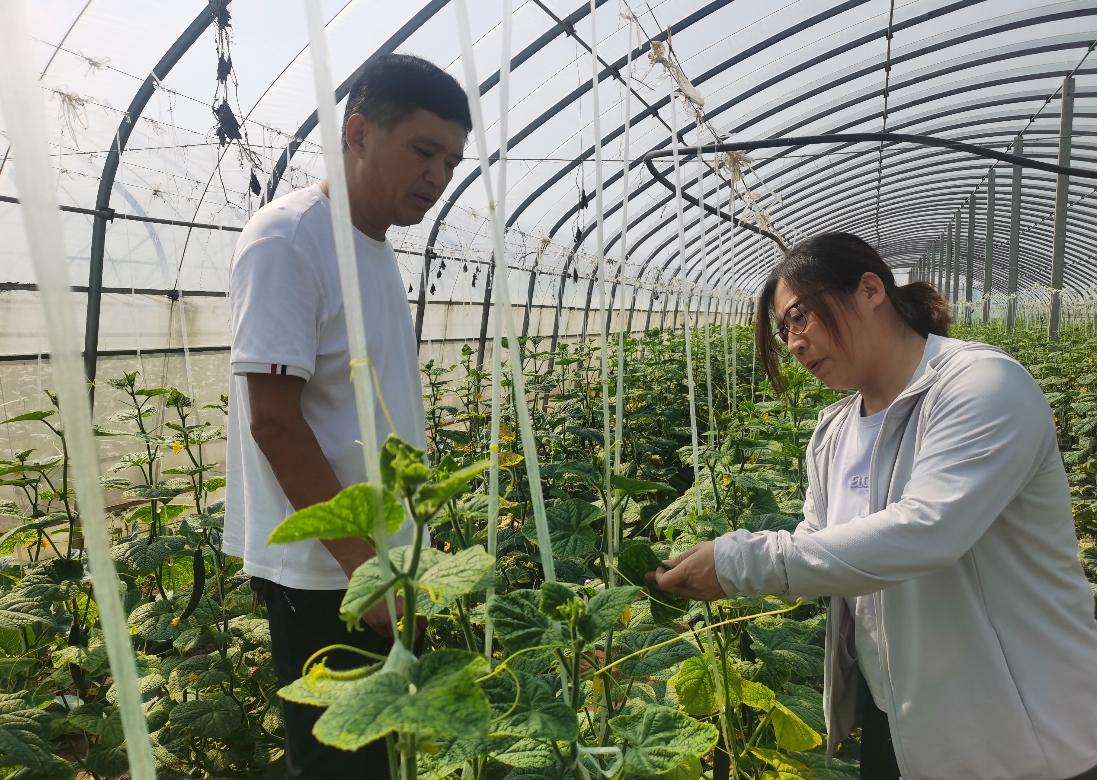 1757665063496324.jpg 1757665063496324.jpg