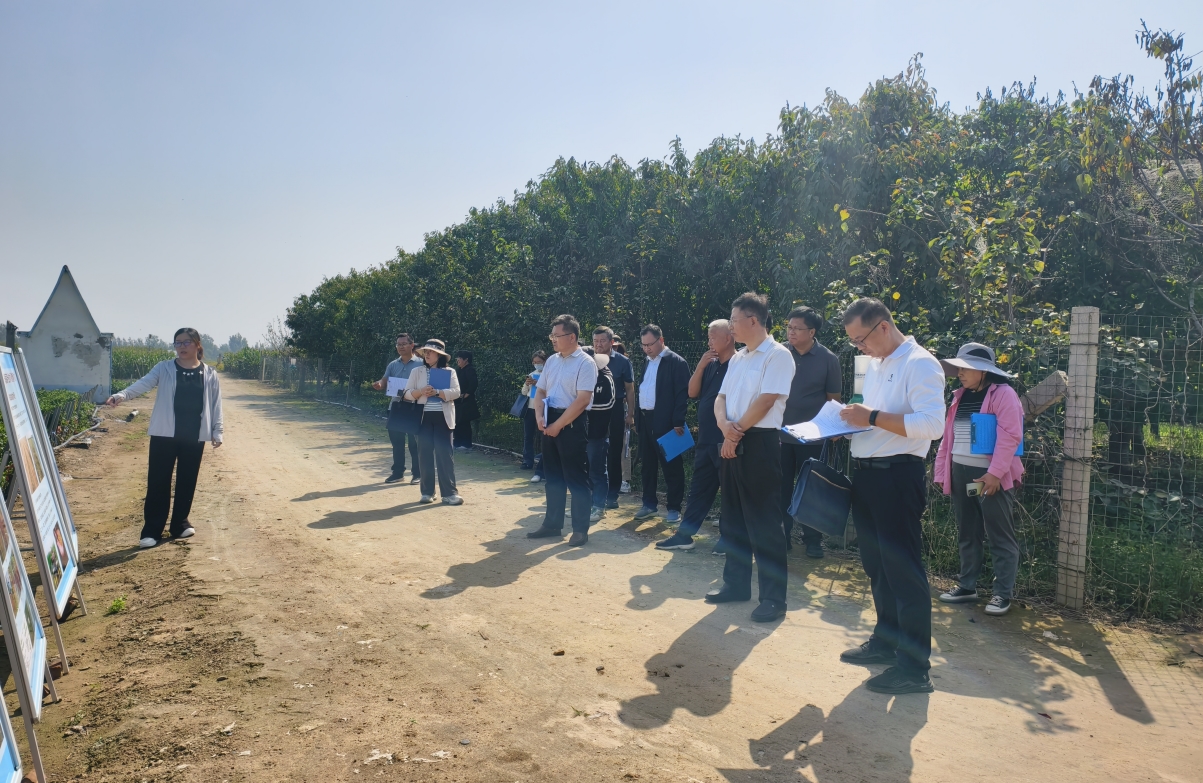 1759222901425300.jpg 1759222901425300.jpg