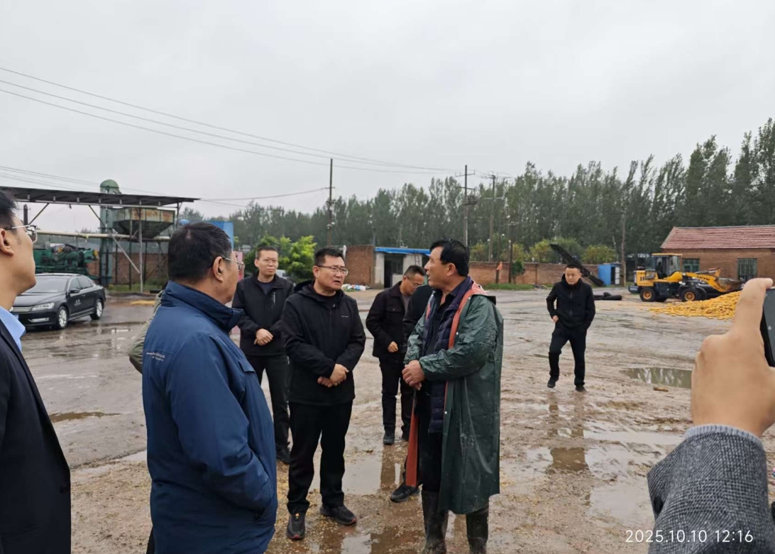 1760424701708511.jpg 1760424701708511.jpg