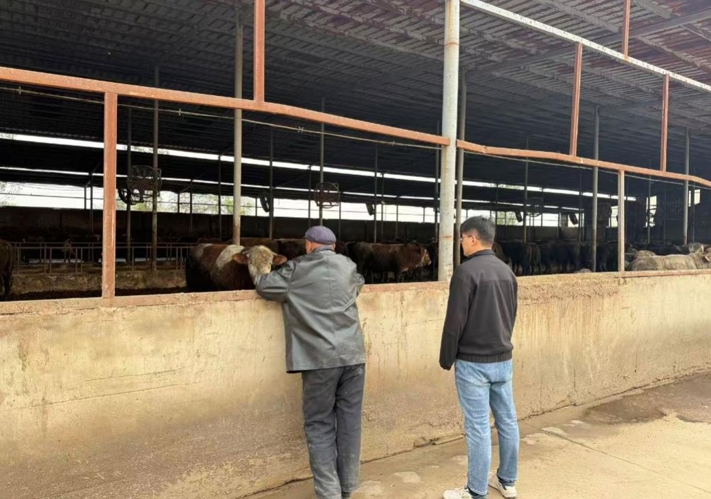 1761190934717512.jpg 1761190934717512.jpg