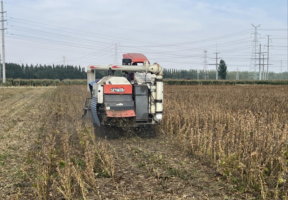 1761646288605399.jpg 1761646288605399.jpg