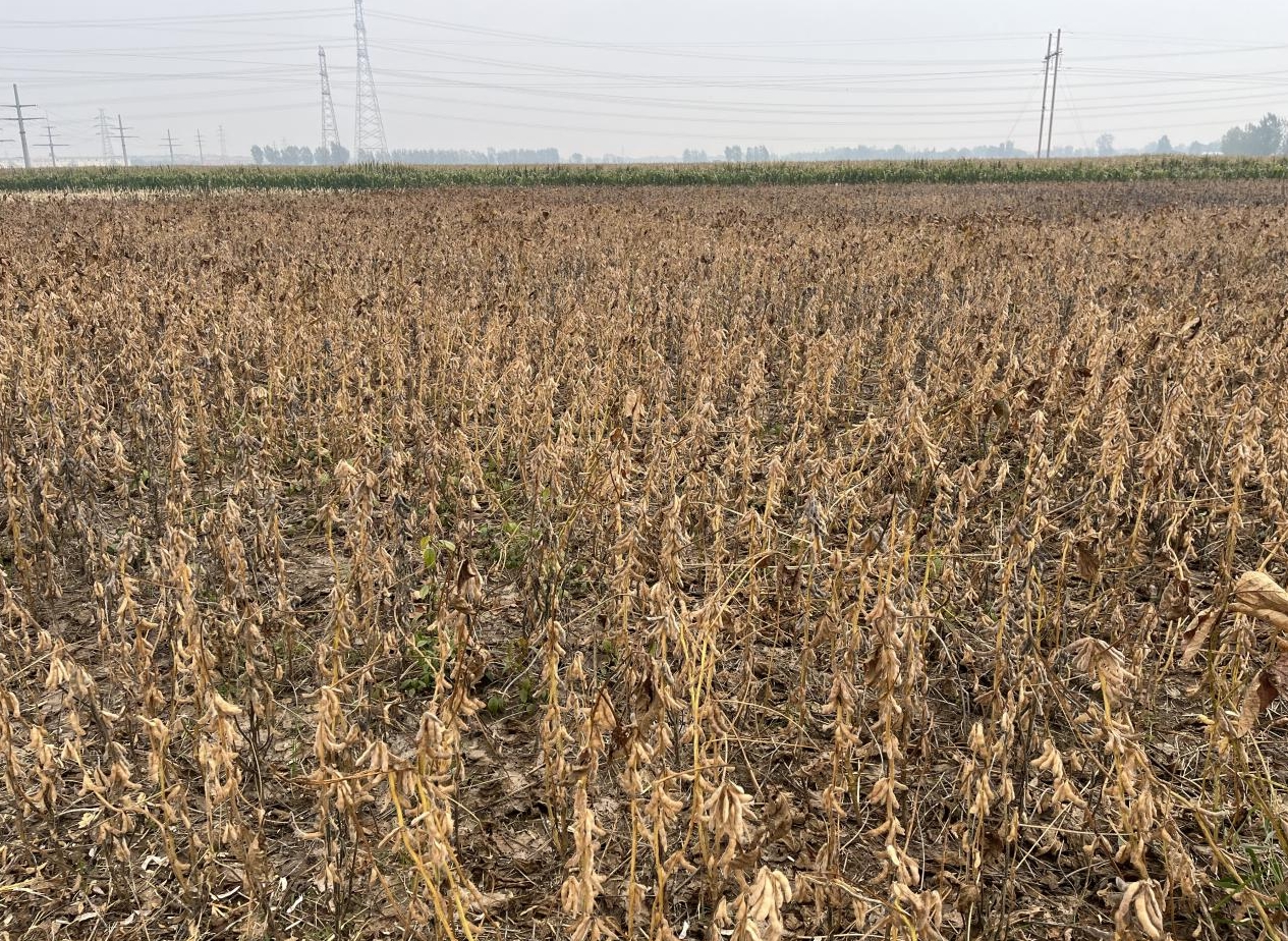 1762941563148042.jpg 1762941563148042.jpg