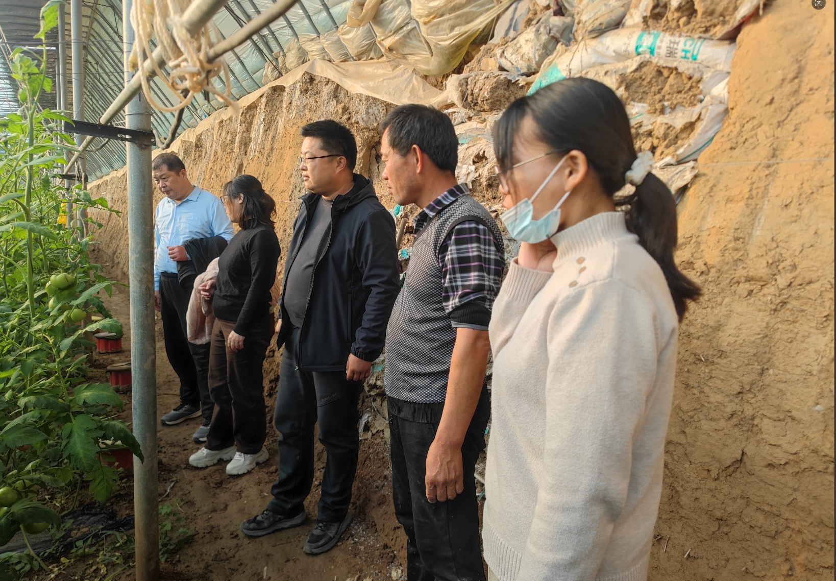 1762941748483354.jpg 1762941748483354.jpg