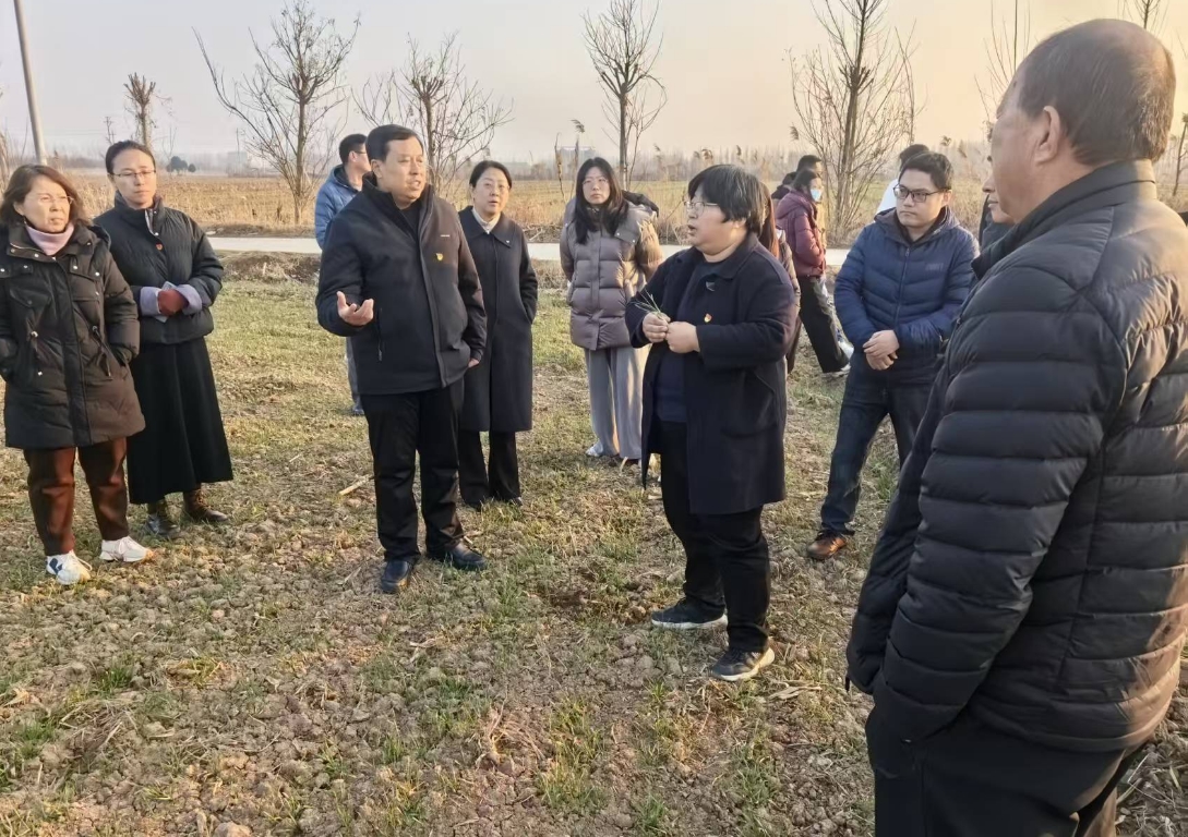 1766129076337212.jpg 1766129076337212.jpg