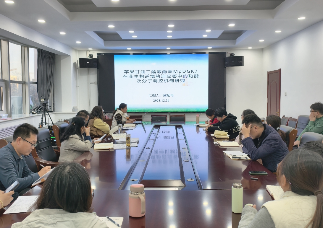 1767508236820506.jpg 1767508236820506.jpg