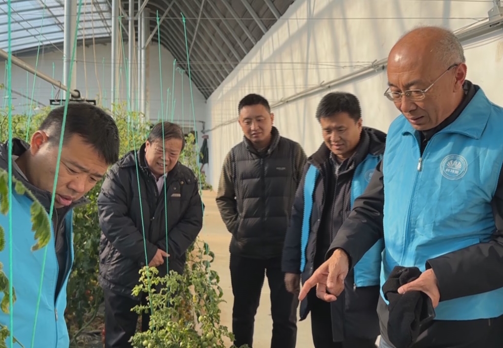 1767781598393453.jpg 1767781598393453.jpg