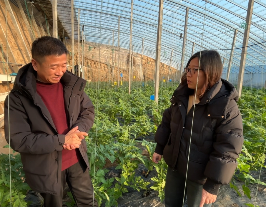 1767781622613637.jpg 1767781622613637.jpg