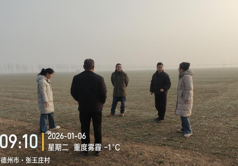 1767865702928262.jpg 1767865702928262.jpg