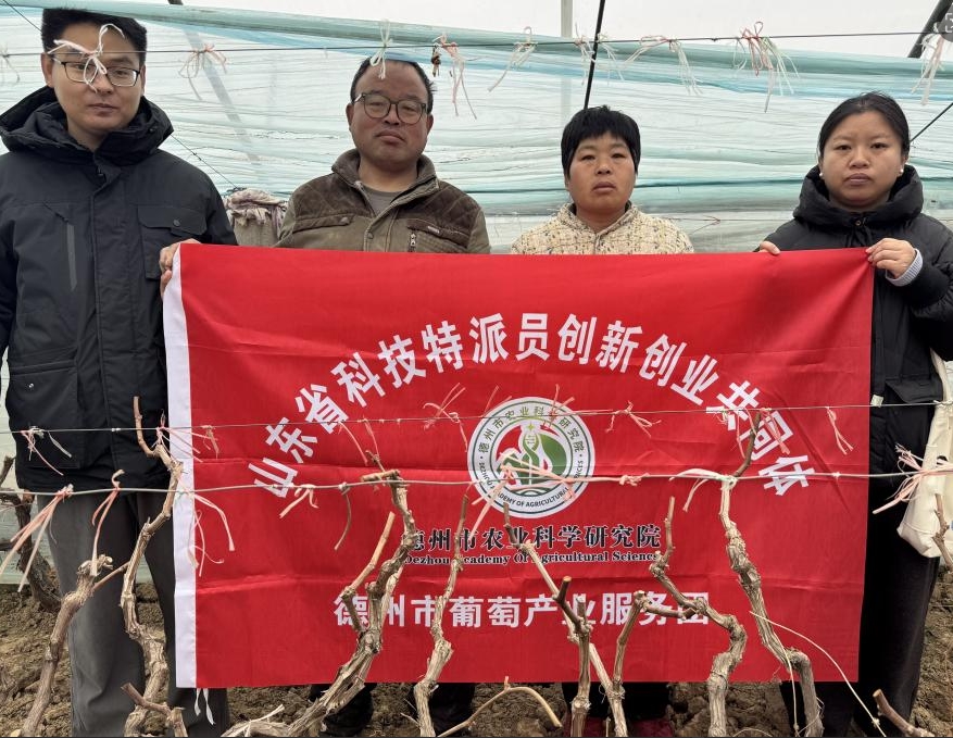 1768905264383452.jpg 1768905264383452.jpg