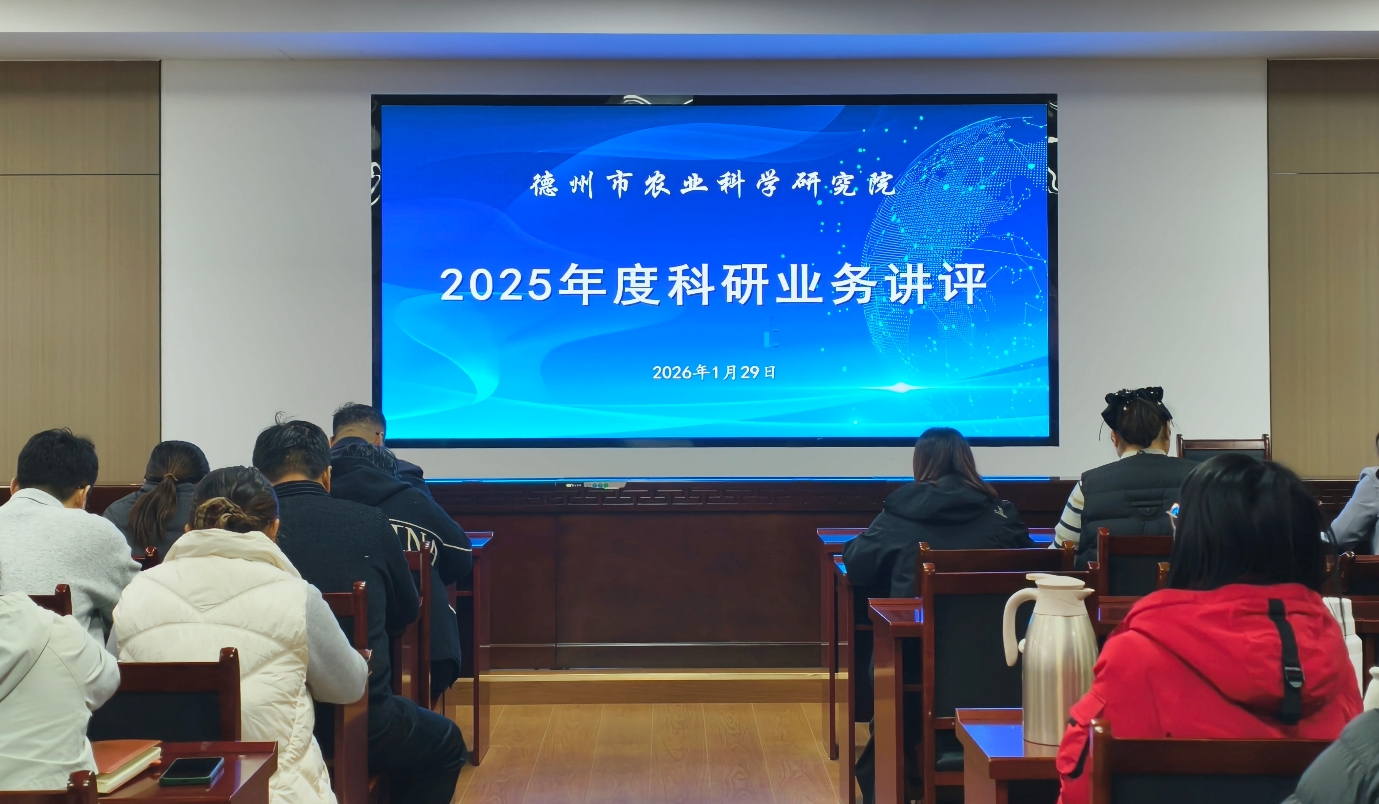 1769679019620674.jpg 1769679019620674.jpg