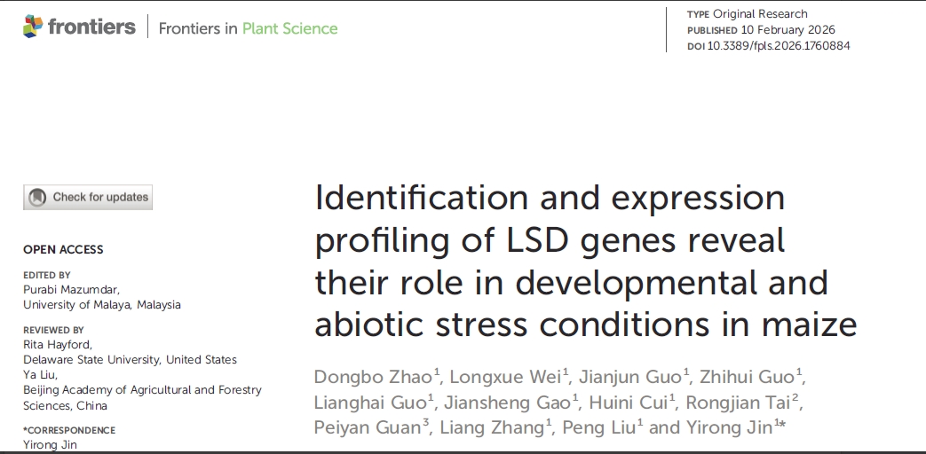 1772184536676593.jpg 1772184536676593.jpg