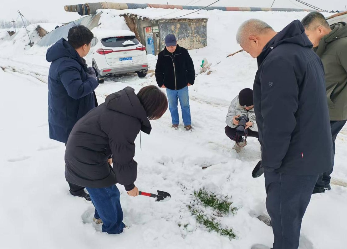 1772445343478725.jpg 1772445343478725.jpg