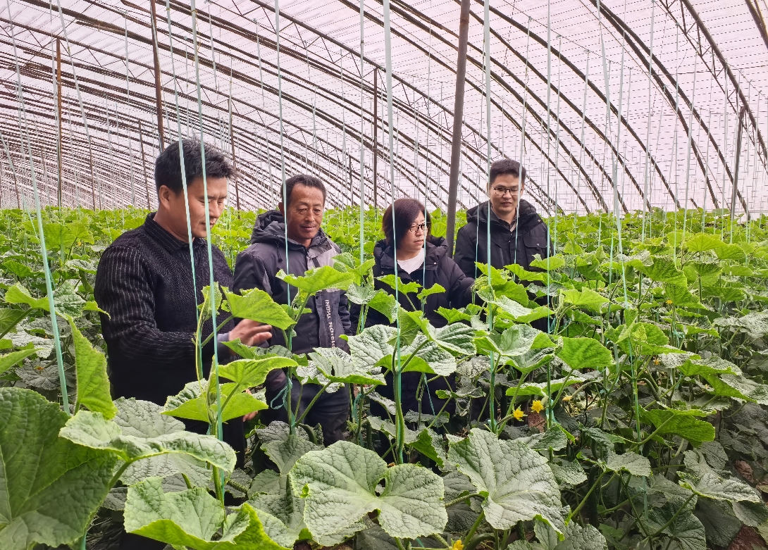 1772445397294027.jpg 1772445397294027.jpg