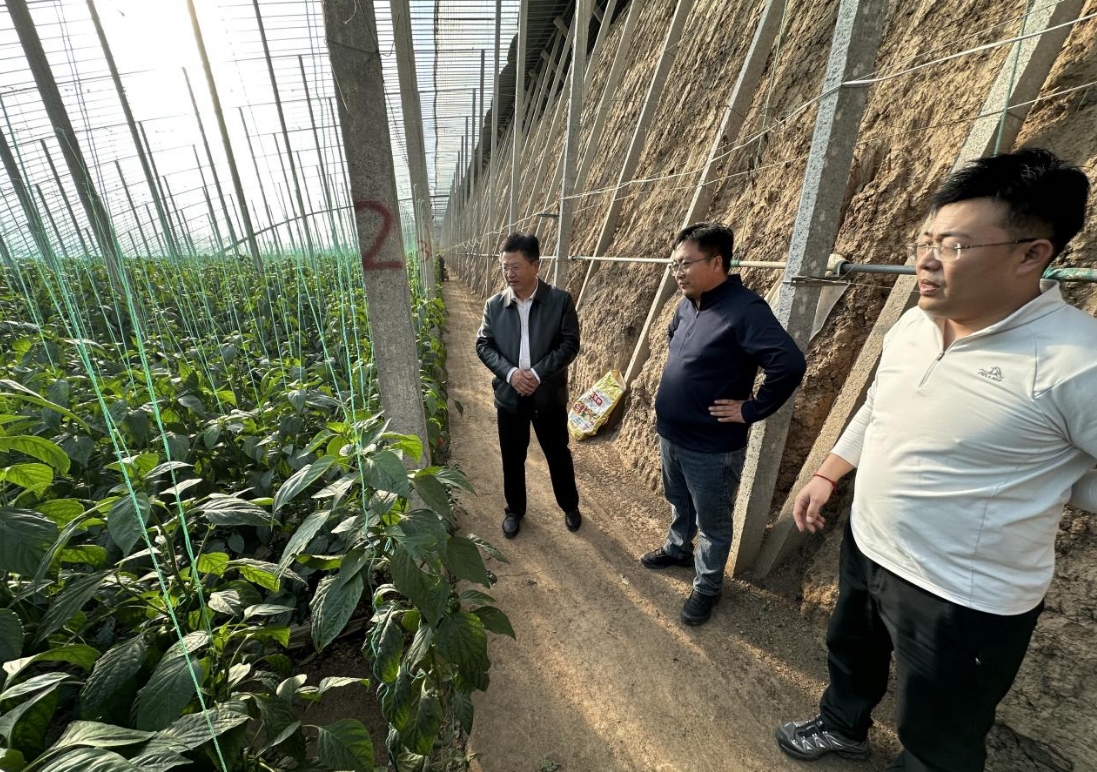 1773653680682769.jpg 1773653680682769.jpg