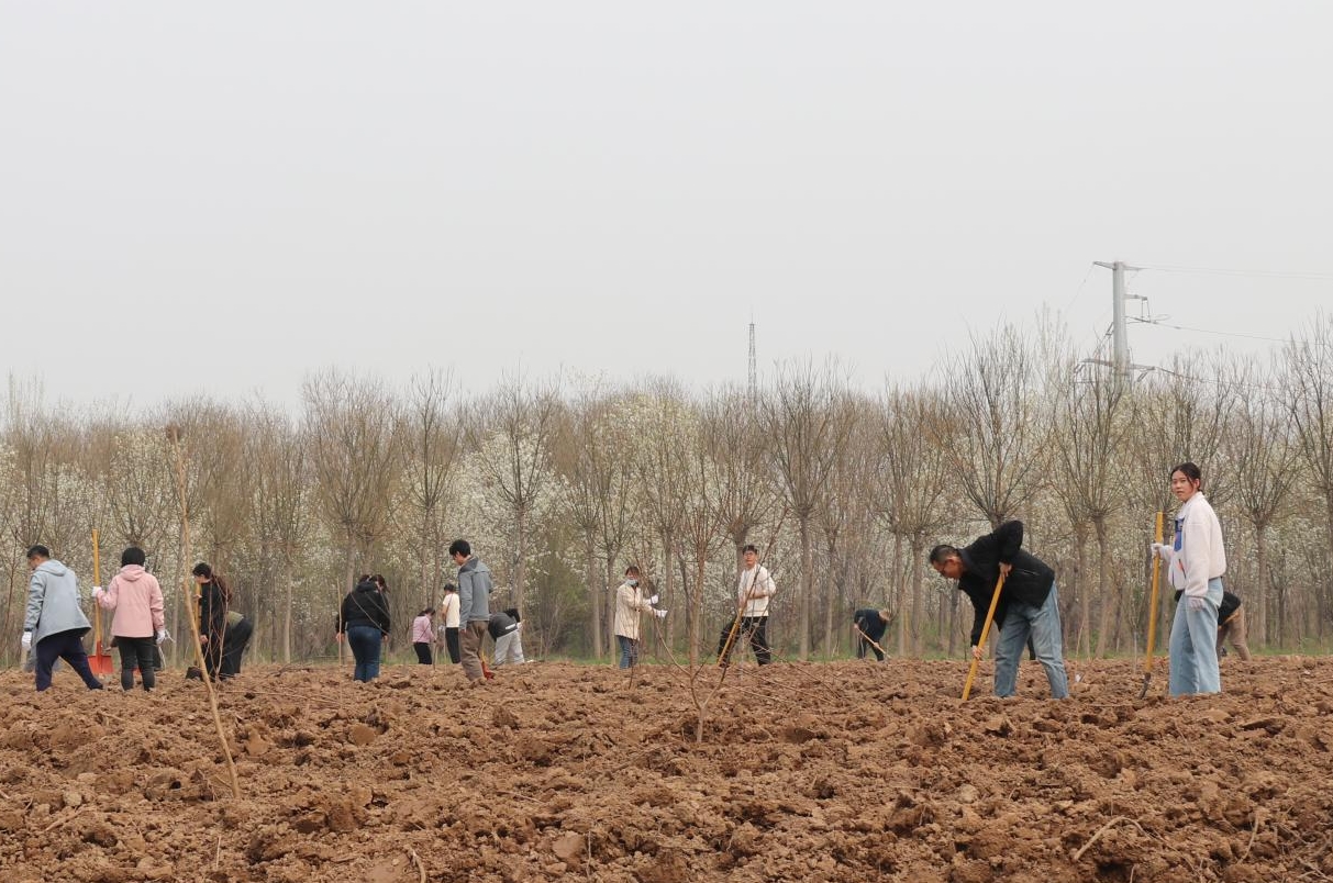 1774954902266891.jpg 1774954902266891.jpg